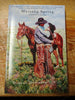 Mustang Spring - Stories & Poems by Deanna Dickinson McCall