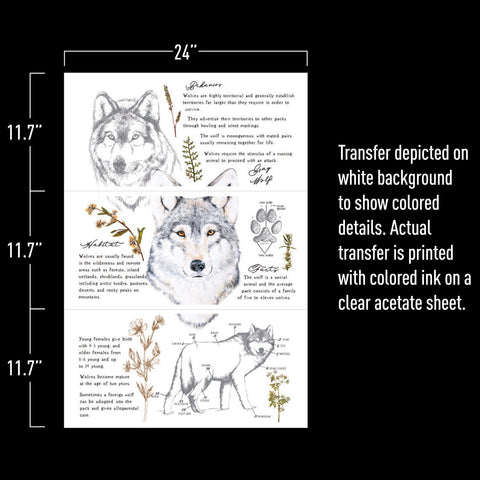 Image of Gray Wolf - Redesign Decor Transfer