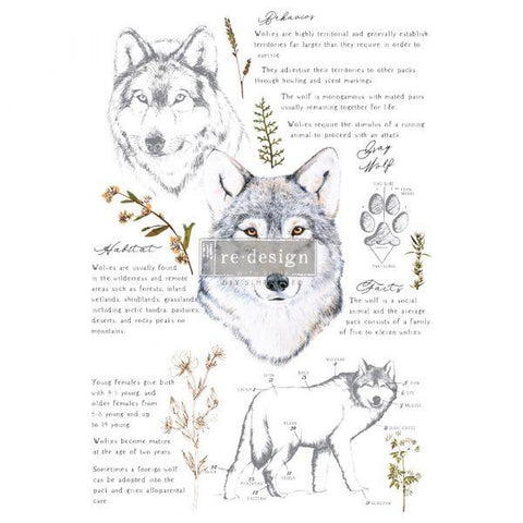 Image of Gray Wolf - Redesign Decor Transfer