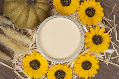 Image of Suzanne’s Fall Colors