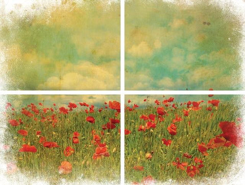 Image of Belles and Whistles - Field of Flowers