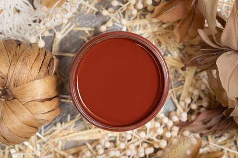 Image of Suzanne’s Fall Colors