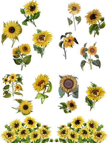 Image of Belles and Whistles - Sunflowers