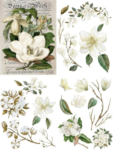 Image of Magnolia Garden - Belles & Whistles Decor Transfer