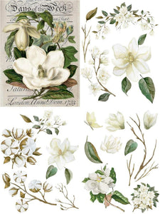 Magnolia Garden - Belles & Whistles Decor Transfer