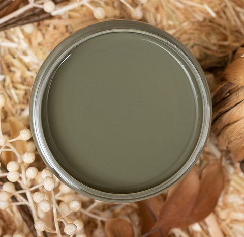 Image of Suzanne’s Fall Colors